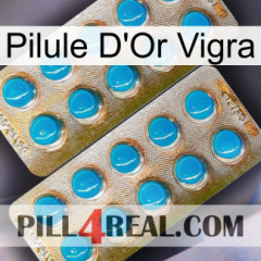 Vigra Gold Pill new08